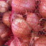 CEBOLLA PACK FAMILIAR MALLA 5KG