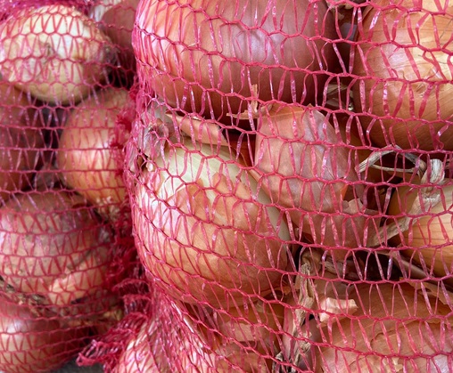CEBOLLA PACK FAMILIAR MALLA 5KG