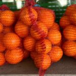 SACO NARANJAS DE VALENCIA 20KG
