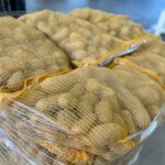 SACO PATATAS 25KG