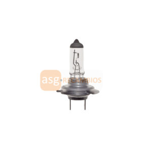 AMOLUX H-7 24V 100W BOMBILLA